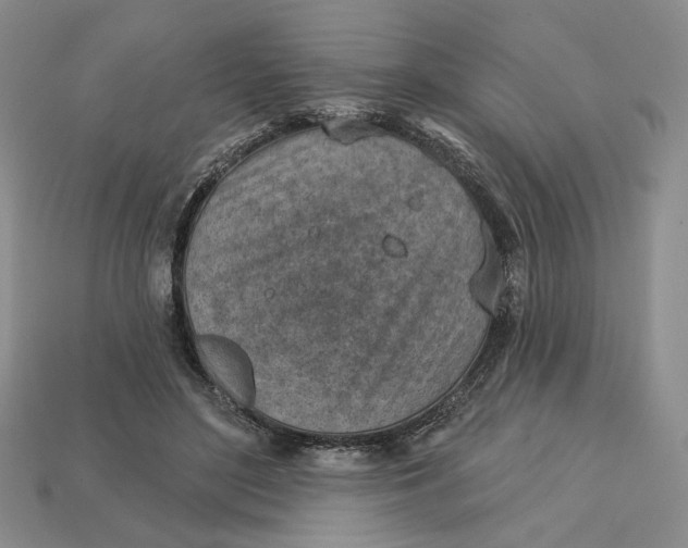 X0000112760500200909101533