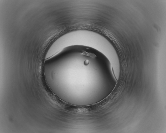 X0000112760501200909101533