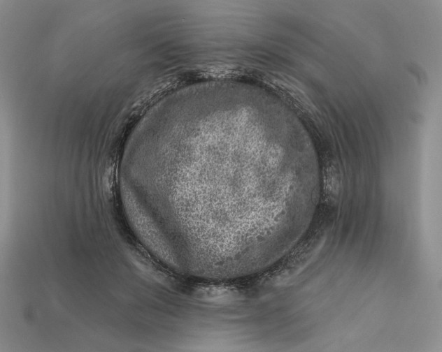 X0000112760503200909101533