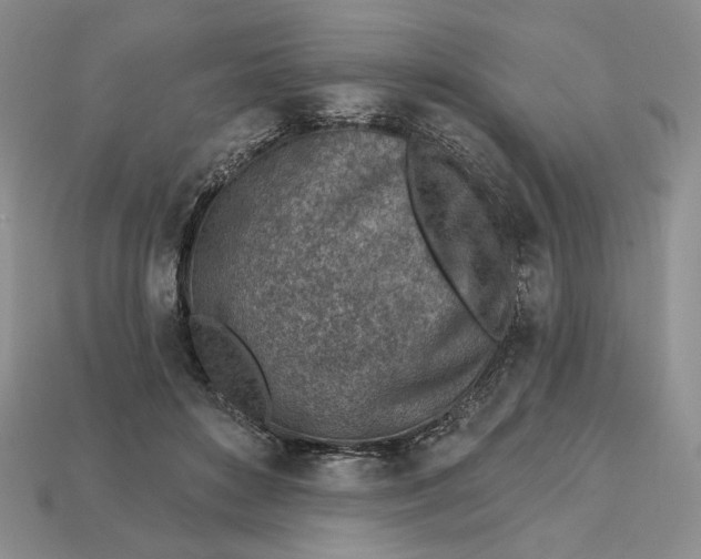 X0000112760504200909101533