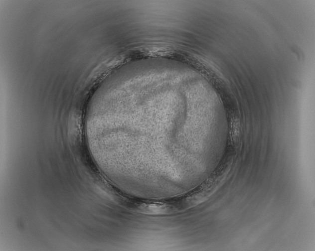 X0000112760506200909101533