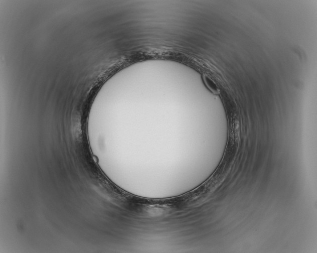 X0000112760508200909101533