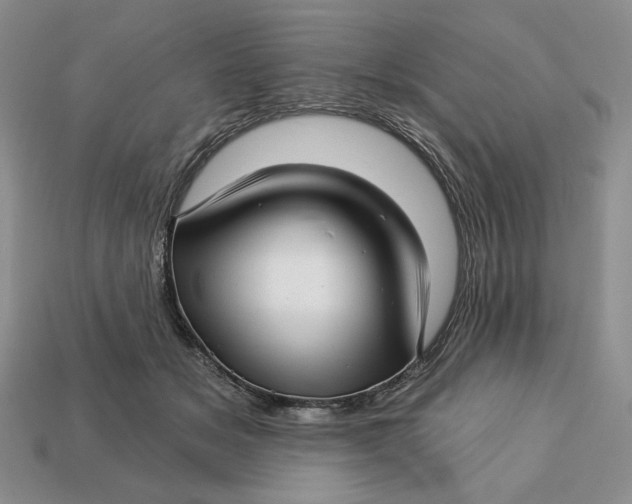 X0000112760509200909101533