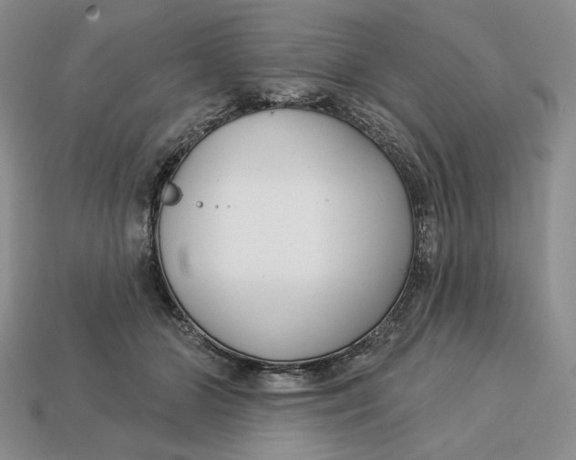 X0000112760510200909101533
