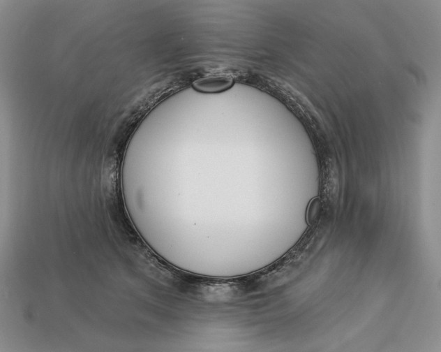 X0000112760513200909101533