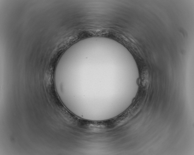 X0000112760515200909101533