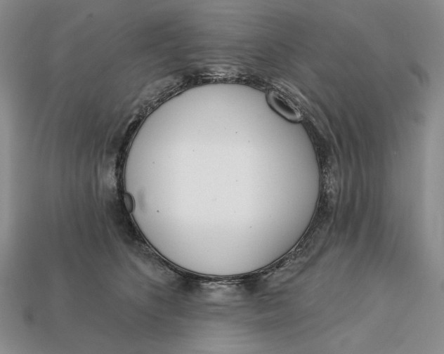 X0000112760516200909101533