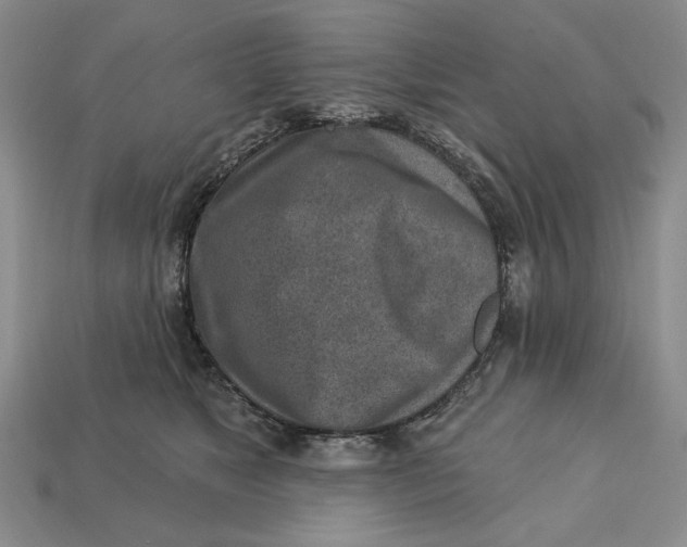 X0000112760517200909101533