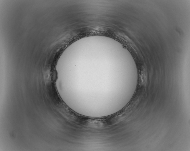 X0000112760520200909101533