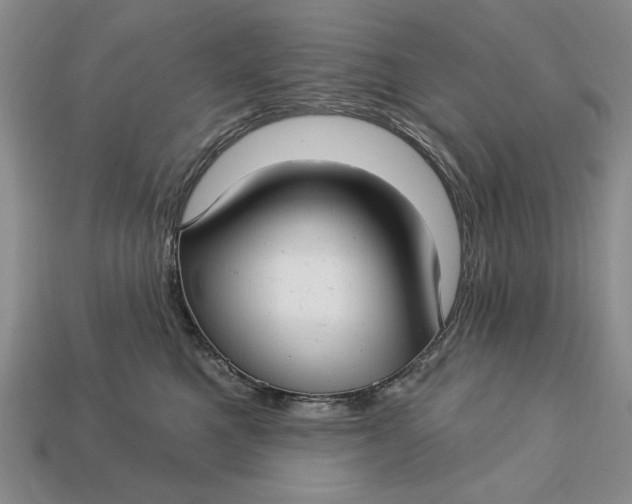 X0000112760521200909101533