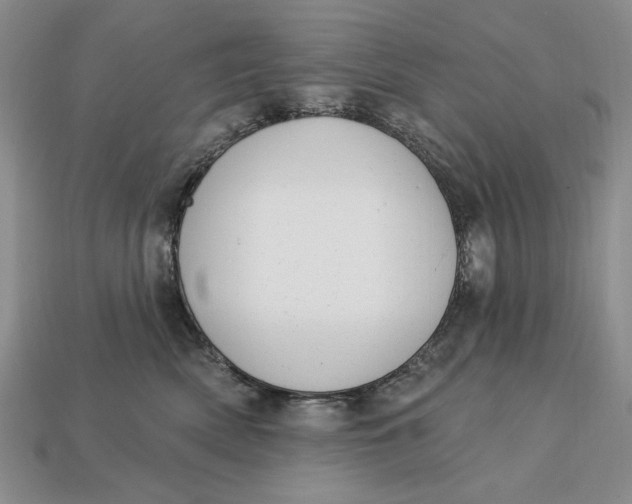 X0000112760522200909101533