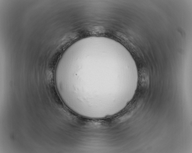 X0000112760523200909101533