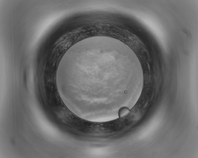 X0000112760526200909101533