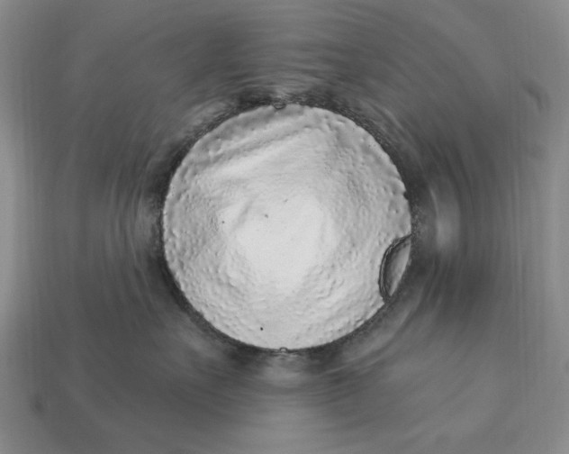 X0000112760527200909101533