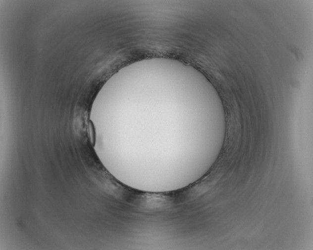 X0000112760528200909101533