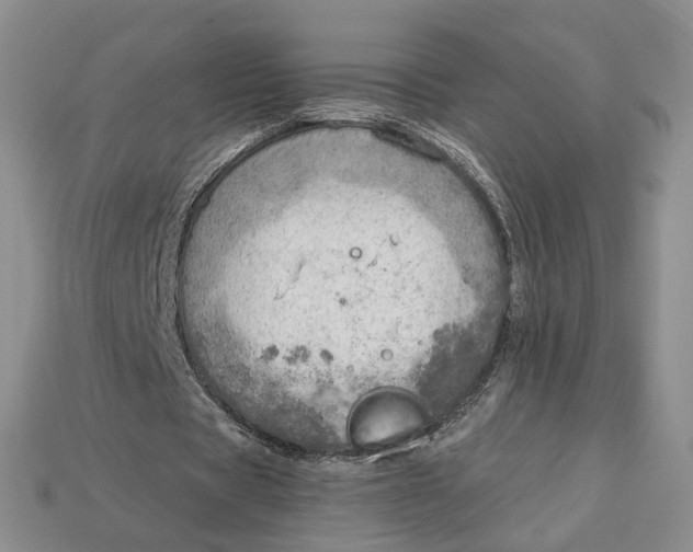 X0000112760529200909101532