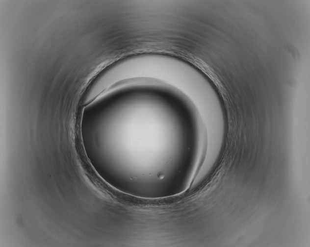 X0000112760530200909101532