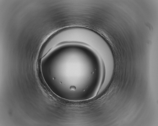 X0000112760532200909101532