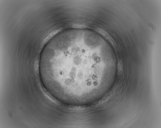 X0000112760533200909101532