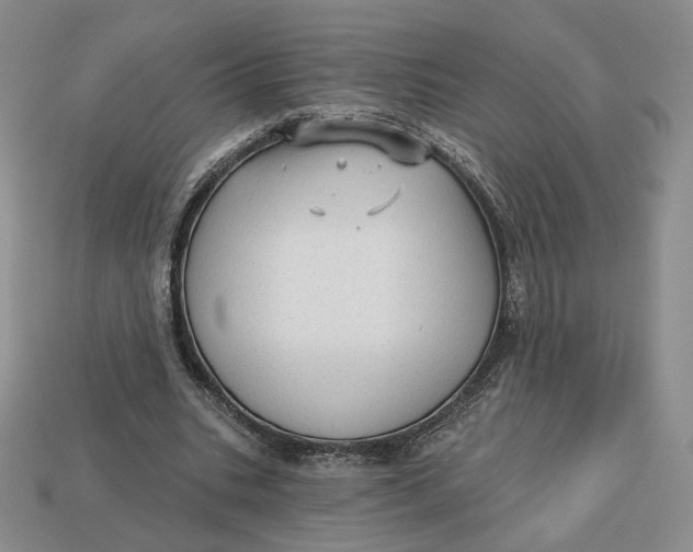 X0000112760535200909101532