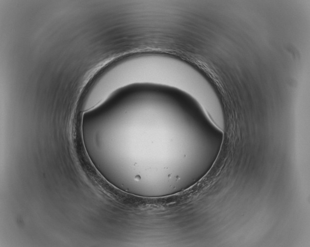 X0000112760536200909101532
