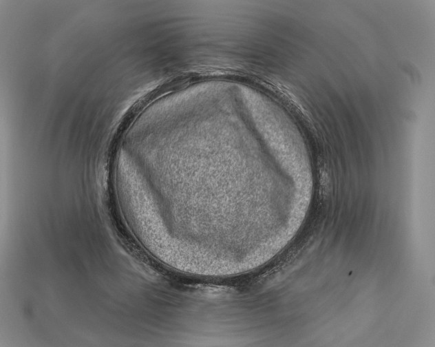 X0000112760539200909101532