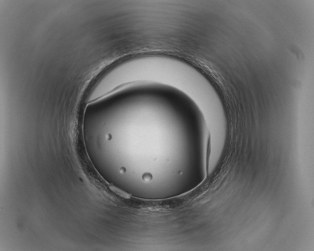 X0000112760540200909101532