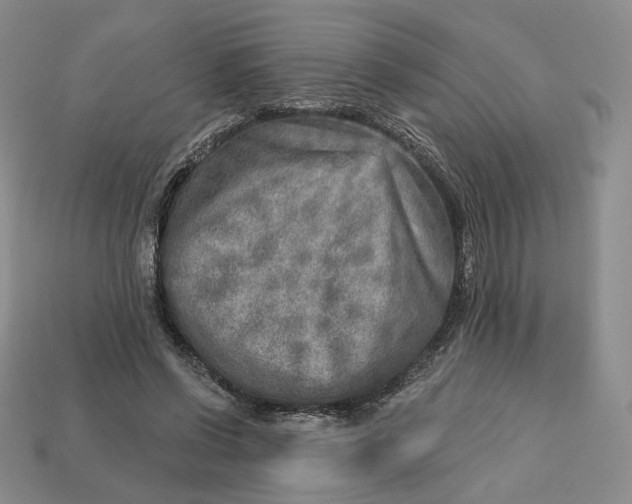 X0000112760542200909101532