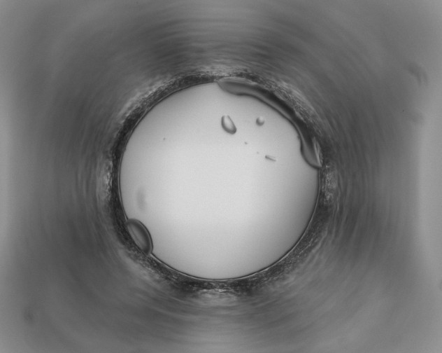 X0000112760544200909101532