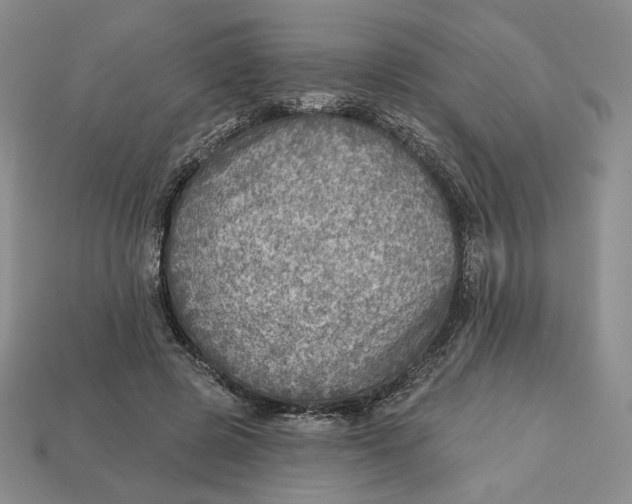 X0000112760545200909101532