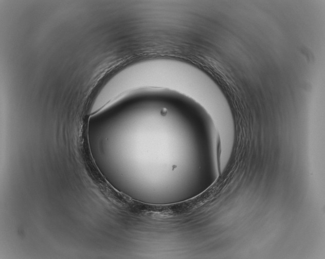 X0000112760548200909101532