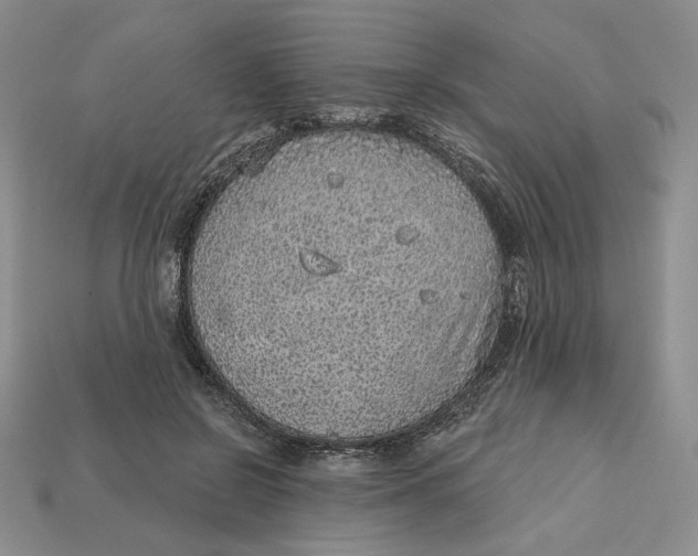X0000112760550200909101532