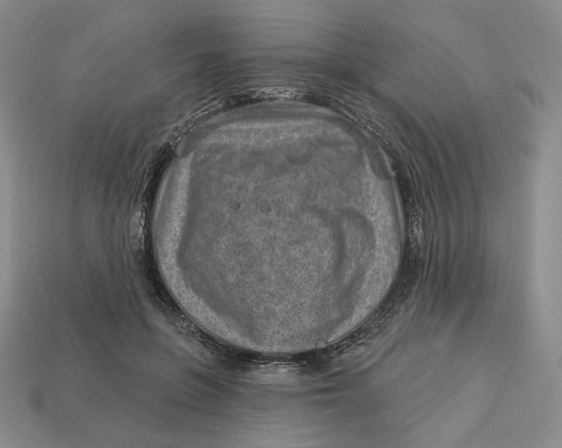 X0000112760551200909101532