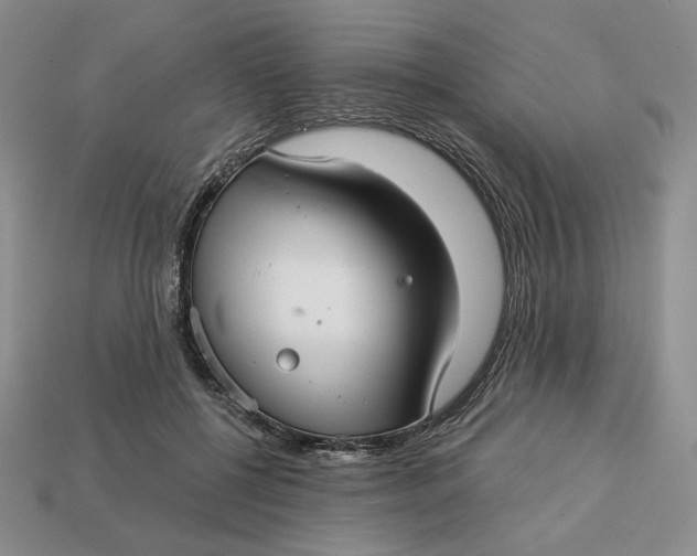 X0000112760552200909101532