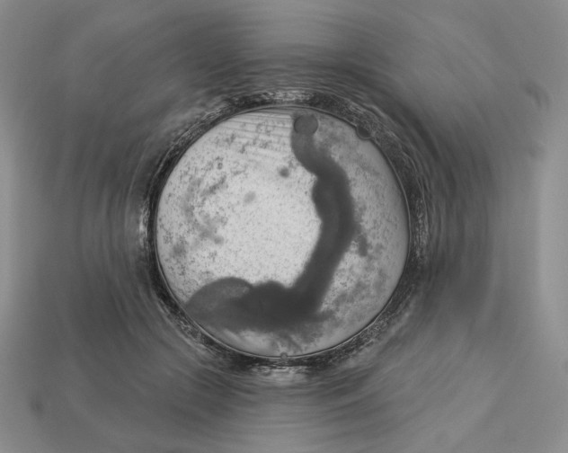 X0000112760553200909101532