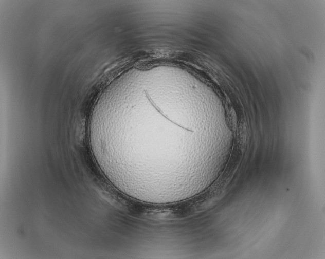 X0000112760554200909101532