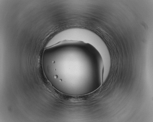 X0000112760556200909101532