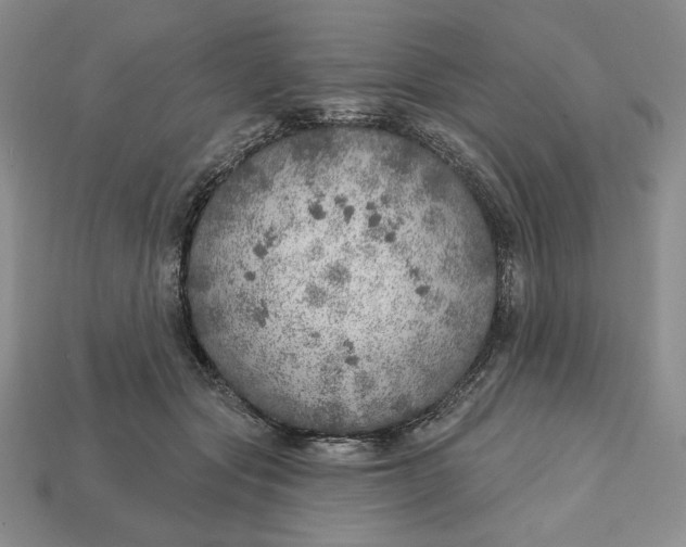 X0000112760557200909101532