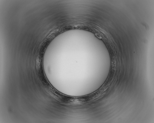 X0000112760558200909101532