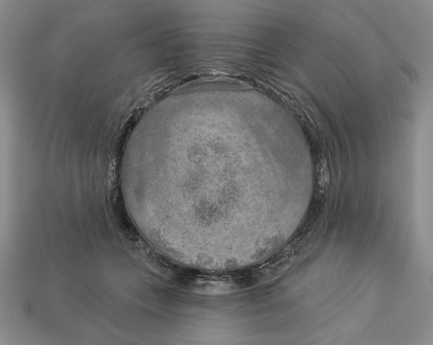 X0000112760559200909101532