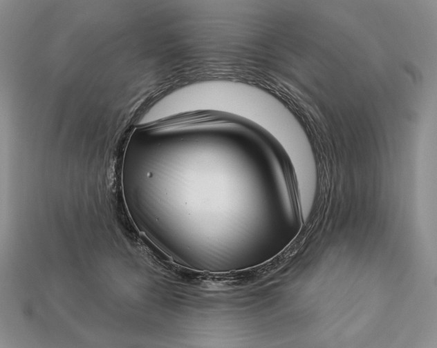 X0000112760560200909101532