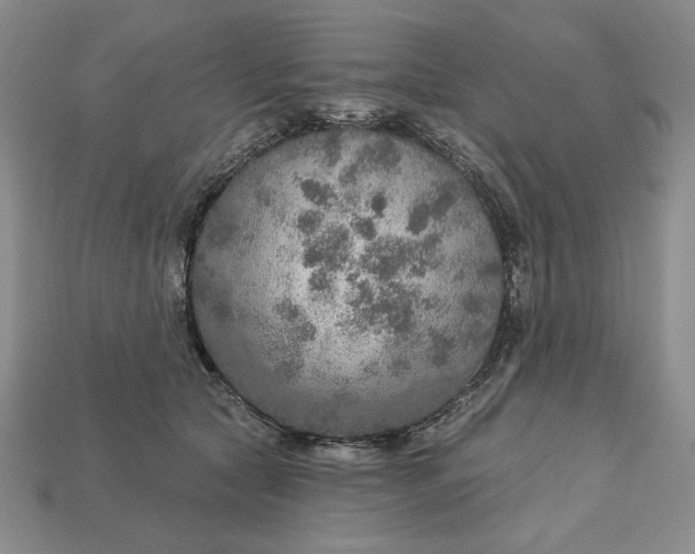 X0000112760561200909101532
