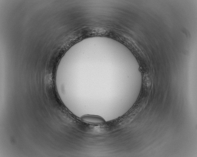 X0000112760564200909101532