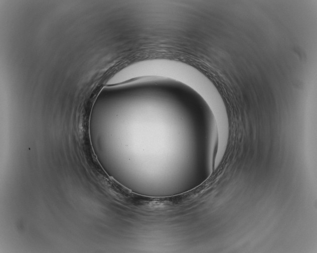 X0000112760566200909101532