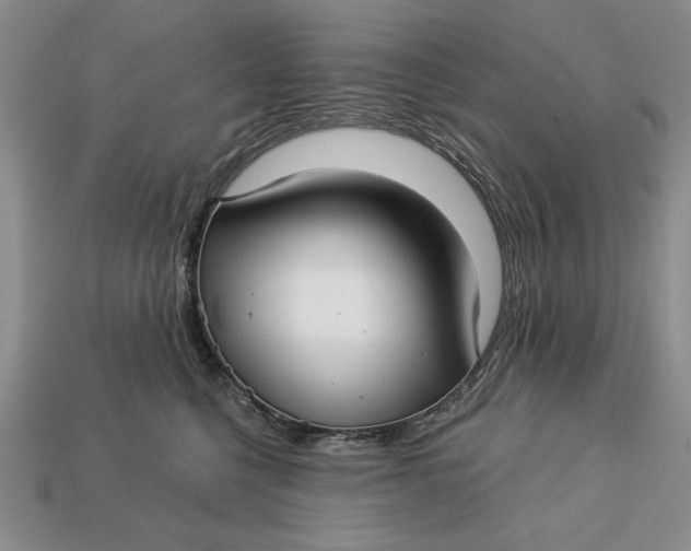 X0000112760568200909101532