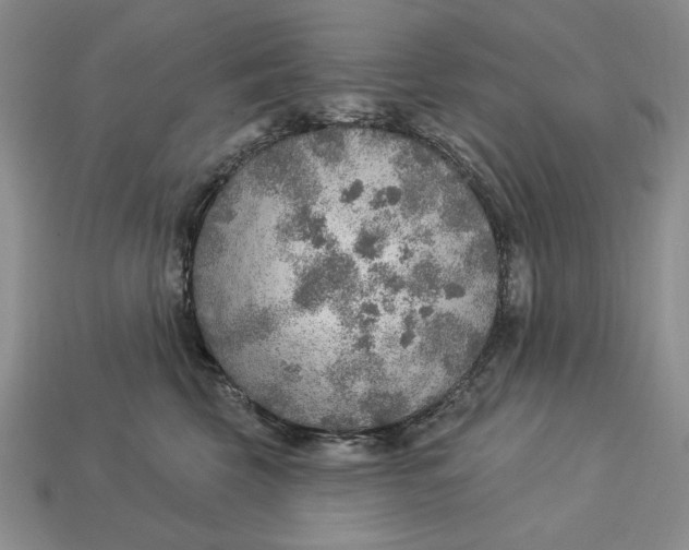 X0000112760569200909101532