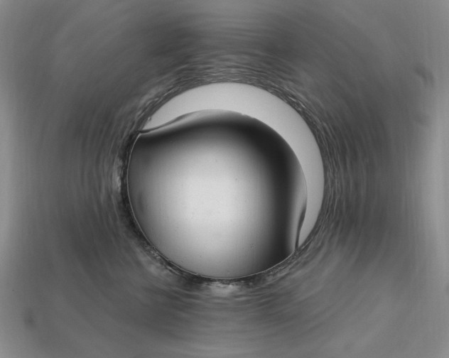X0000112760570200909101532