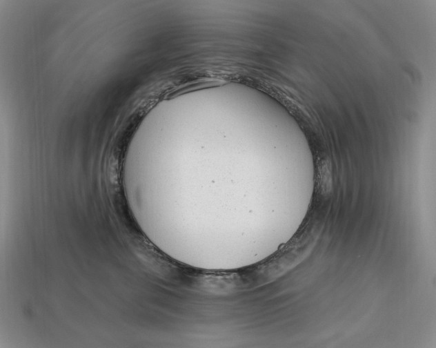 X0000112760571200909101533