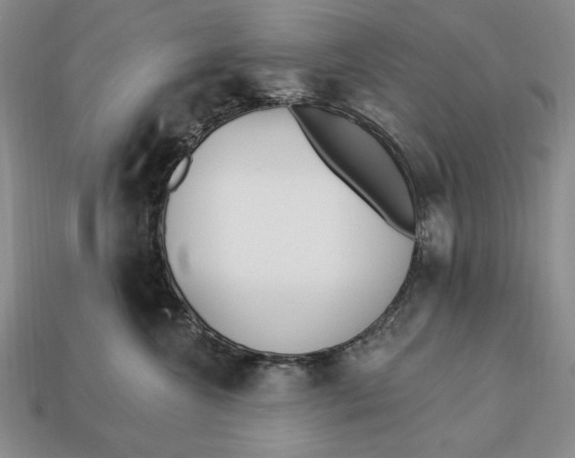 X0000112760572200909101533