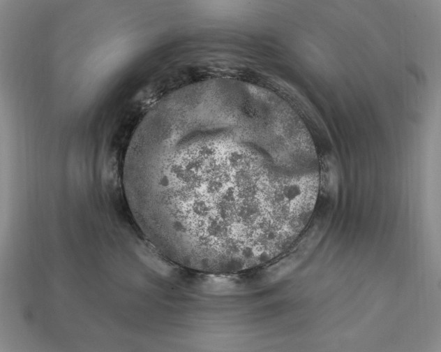 X0000112760573200909101533